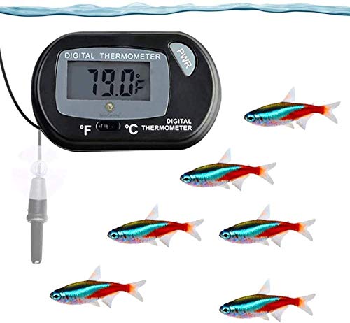 Digital Betta Thermometer for Aquarium Fish, Reptile, Suction Cups and a pair of Batteries Included.