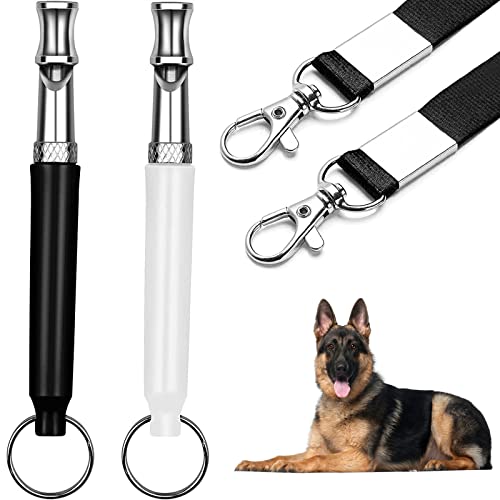 Professional Stainless Steel Dog Whistle Duo: Effective