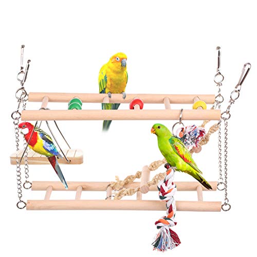 Bird Wellness with the Wooden Parrot Playstand