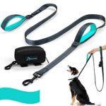 Green PuppyDoggy Dog Leash with two padded handles and reflective stitching, perfect for large and medium dogs during walking and training sessions