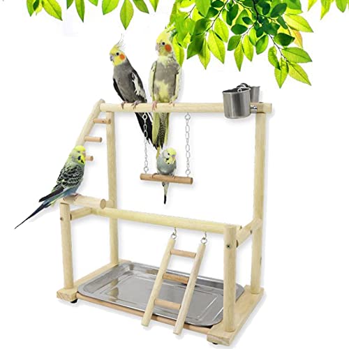 RoseFlower Parrots Bird Playground