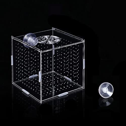 Transparent Acrylic Fish Breeding Box