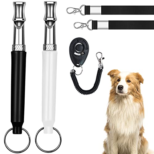 Mizzkly Adjustable Silent Dog Whistle set with lanyard for effective dog training, showcasing the durable stainless steel design and adjustable pitch feature