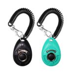 Durable OYEFLY Dog Training Clicker with elastic wrist strap in Black and Water Lake Blue – Perfect for training dogs, cats, birds, and more