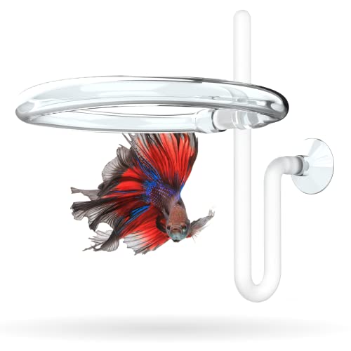 Invisible Feeding Ring for aquariums, featuring customizable sizes and auto-leveling design, perfect for floating plants and enhancing fish feeding experience