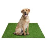 Choicons Artificial Grass Pad: 39.5 x 34.5 inches turf for dogs, ideal for indoor and outdoor potty training