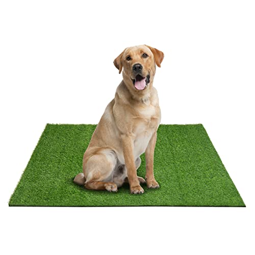 Choicons Artificial Grass Pad: 39.5 x 34.5 inches turf for dogs, ideal for indoor and outdoor potty training