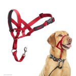 HALTI Headcollar in Red, Size 3 - Adjustable and padded no-pull training tool for dogs