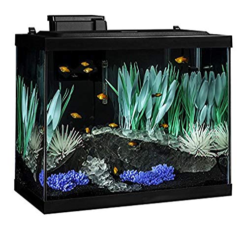 Tetra ColorFusion 20 Gallon Aquarium Kit showcasing customizable LED lighting, a colorful Blooming White Anemone, and vibrant Tetra plants, creating a dynamic and aesthetically pleasing aquatic environment.