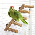 Natural wooden bird ladder perch with easy installation, designed for small parrots to climb, chew, and play in a cage.