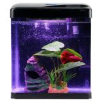 Betta Fish Tank Self Cleaning Glass 2 Gallon - LED Lights