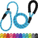 6 FT Slip Lead Dog Leash: Comfortable Control