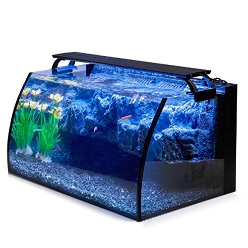 Hygger Horizon 8 Gallon LED Glass Aquarium Kit with 3D rockery background, complete with power filter and adjustable LED lighting