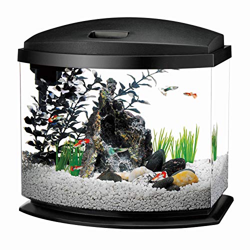 LED Minibow 5-Gallon Aquarium Starter Package: Beauty and Ease in Every Drop