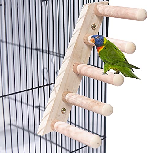 Parrot Chicken Swing Wood Ladder