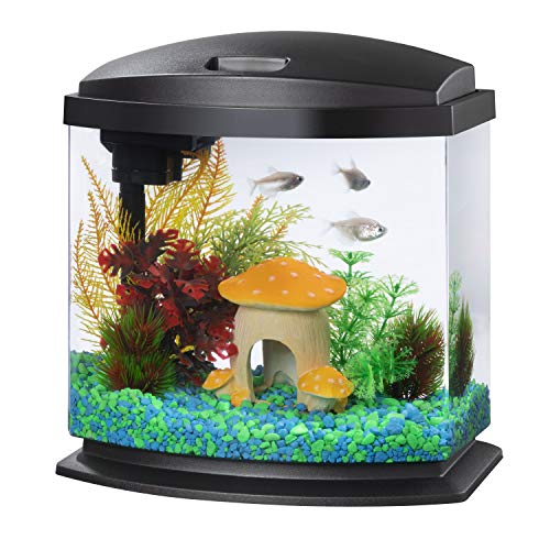 Compact 2.5-gallon aquarium kit with SmartClean Technology and LED lighting for small fish like bettas and guppies