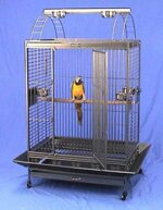 X-Large wrought iron bird cage with playtop and double ladders, featuring a black vein finish, rolling casters, and ample space for large parrots and macaws.