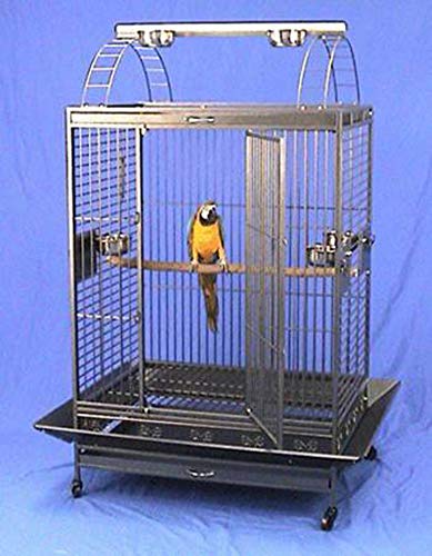 X-Large wrought iron bird cage with playtop and double ladders, featuring a black vein finish, rolling casters, and ample space for large parrots and macaws.