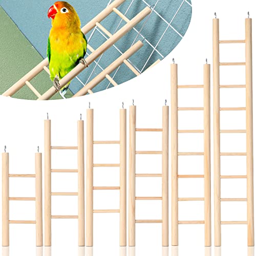 Upgrade Your Fowl's Playtime with 6 Pcs Wooden Ladder Set - Perfect for Parrots, Cockatoo and Lovebirds!