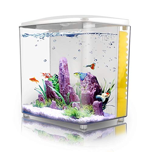 1.2-Gallon betta aquarium starter kit with LED lights, compact square fish tank with hidden filter system and decorative plastic plants, ideal for small spaces.