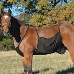 Cashel Fly Sheet Belly Guard – Durable Protection for Horses Against Flies, Adjustable and Comfortable Fit