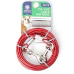 American Kennel Club Heavy Duty Steel Tie-Out Cable designed for outdoor tethering, featuring a 20-foot length and rust-resistant coating