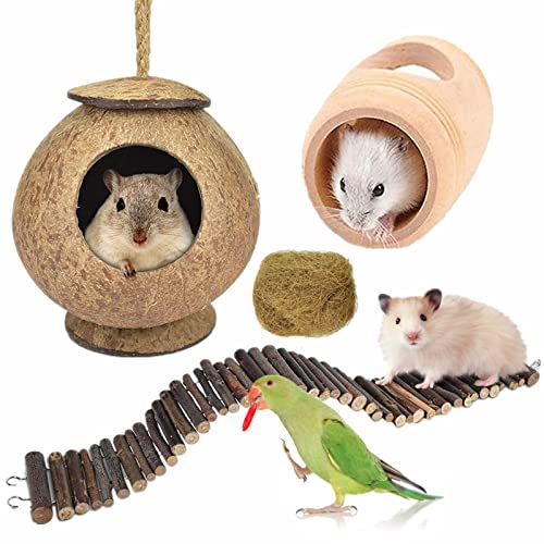 Avian Bliss: Pure Vie Hanging Coconut Bird House Set – Natural