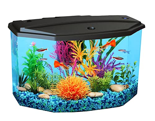 3-Gallon Desktop Aquarium Kit - Where Elegance Meets Convenience