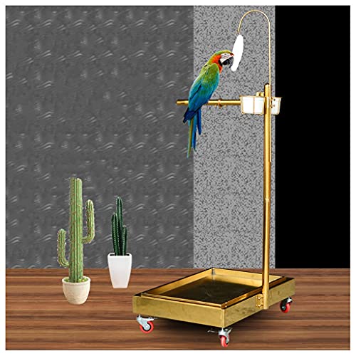 Steel Parrot Perch Stand with Brake - Perfect for Large and Medium-sized Parrots