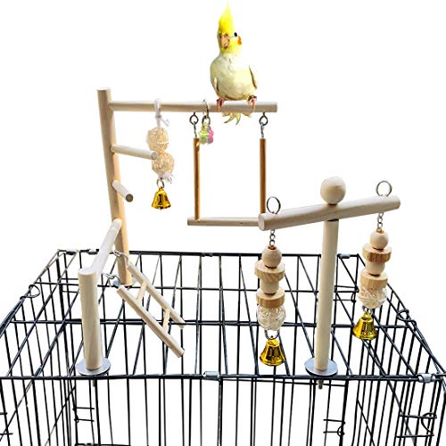 Keep Your Feathered Friends Active and Entertained with a Bird Playground - Perfect for Parrots, Cockatiels, Lovebirds, and More!
