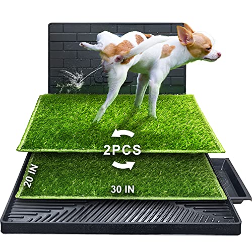 Hompet Dog Potty featuring a bionic pee baffle, two artificial grass training pads, and a convenient drainage system for indoor and porch use