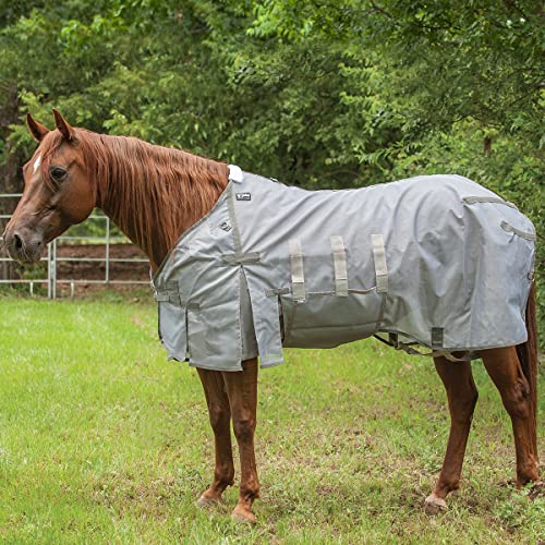 Experience Ultimate Equine Comfort with Cashel