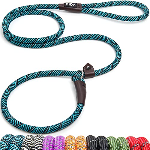 Blue Fida 6FT Slip Lead Dog Leash with reflective stitching, perfect for training and walking medium and large dogs