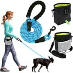 6FT blue dog leash with padded handle and treat pouch set for medium and large dogs, ideal for walking and training