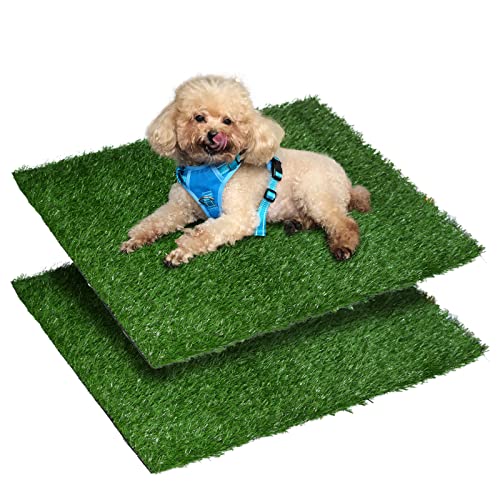 Reusable Dog Grass Pee Pads - 2 Pack