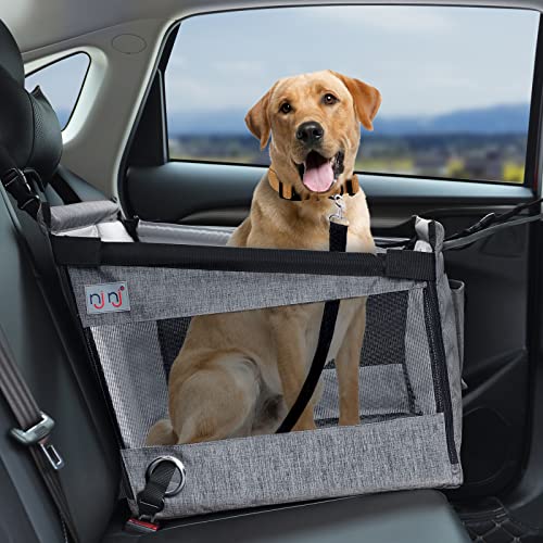 Discover Where Your Pooch Rides Safely: Dog Car Seat
