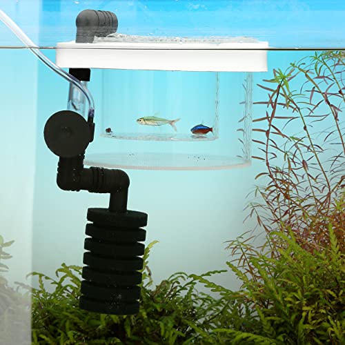 Create a Safe Haven for New Life! Fish Breeder Box
