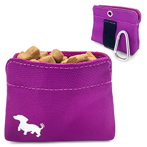 Compact Canine Coaching Pouch with Magnetic Closure - Ideal for On-the-Go Pet Treats - Portable Dog Walking Accessory - Pink.