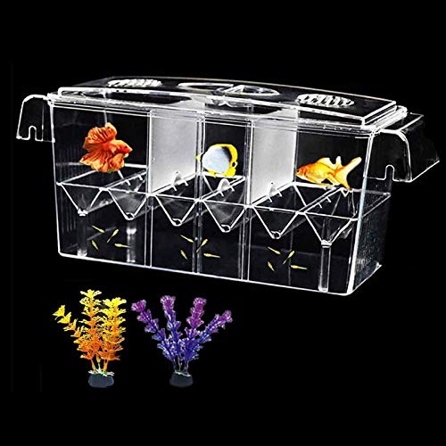 Tfwadmx Fish Breeding Box with multiple-room design and artificial plant, providing a safe incubator for baby fish and effective isolation for aggressive species