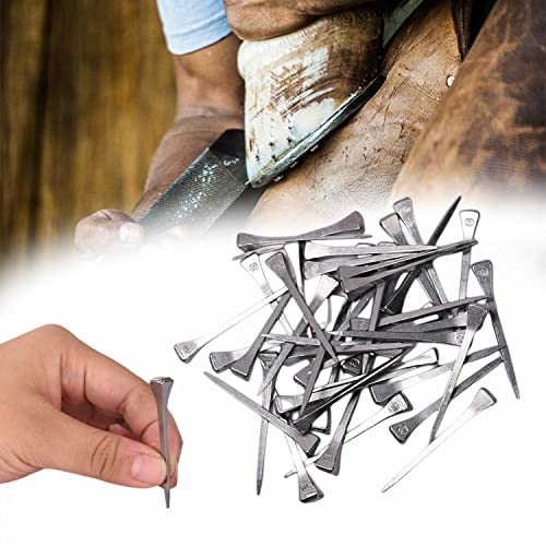 250pcs E5 Stainless Steel Horseshoe Nails – High-Quality, Rust-Resistant Hoof Nails for Horseshoe Fitting