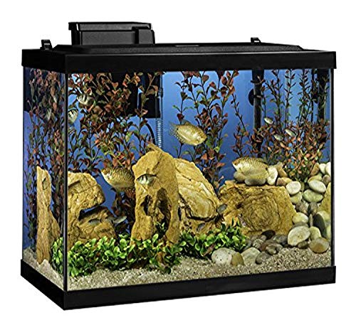 Tetra 20 Gallon Aquarium Kit featuring LED lighting, Whisper filter, and decorative artificial plants, perfect for setting up a beautiful and functional fish tank.