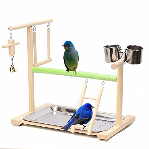 Bird Playground Wood Perch Gym Stand