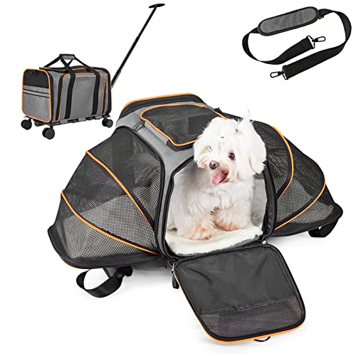 Pet Carrier Airline Approved with Wheels - Rolling Pet