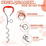 Heavy Duty Steel Leash and Stake Set for Outdoor, Yard, and Camping Use - Image 2