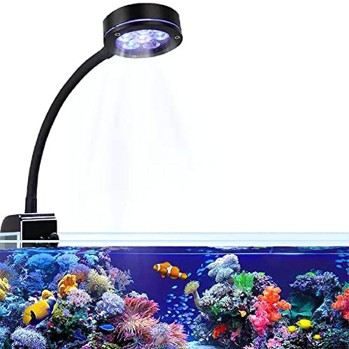 NILIPAL 18W LED aquarium light with flexible arm and advanced coral reef spectrum, perfect for saltwater nano tanks, promoting vibrant coral growth.