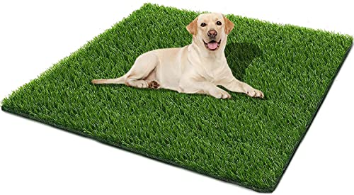 51.1x31.8 inch Artificial Grass Pad for Potty Training Dogs Indoors and Outdoors.