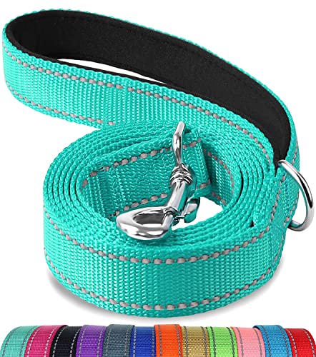 Joytale Double-Sided Reflective Dog Leash in teal, 6-foot length with padded handle and durable metal clasp, perfect for safe evening walks and training sessions