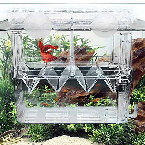 Upgrade Your Aquatic Skills with the Fortune-Star Acrylic Fish Breeding Enclosure - Ideal for Hatchery, Incubation, and Breeding with Easy Installation Using Suction Cups.