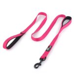 Pioneer Petcore™ Dog Leash - 6ft long with dual padded handles for superior control and safety during walks, perfect for medium to large dogs