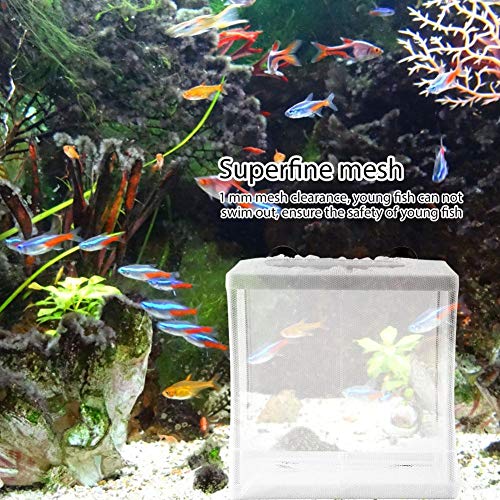 Fish breeding box with isolation mesh and suction cups, perfect for safely separating fish and hatching fry in aquariums